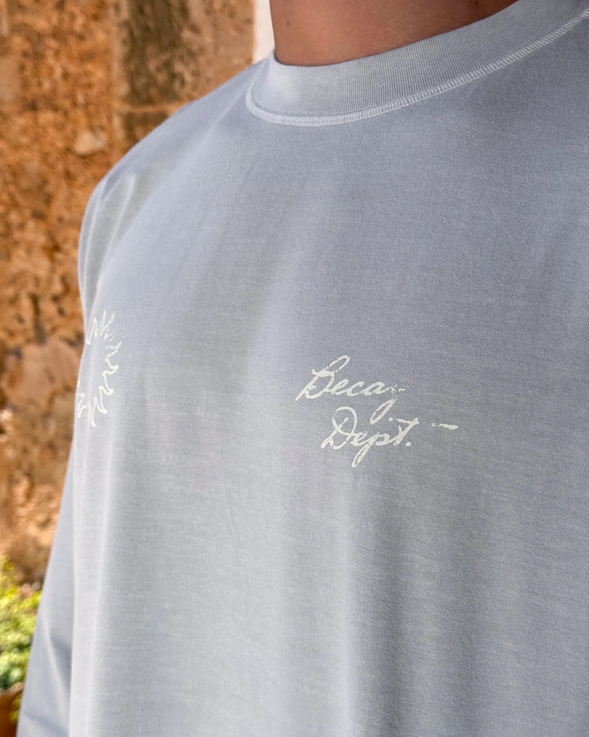 Dali Longsleeve Grey